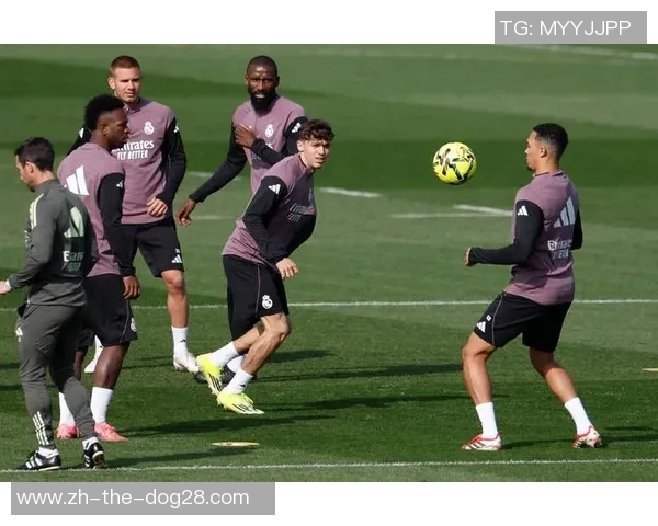 皇马电视台:西甲便是内格雷拉联赛,皇马唯一在这得不到公正 皇马电视台:西甲便是内格雷拉联赛,皇马唯一在这得不到公正